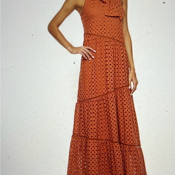 ryegrass Dresses & Skirts - Chic Lace Maxi Dress in Terracotta